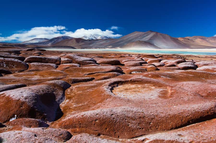 Caracoles: Red Stones of Atacama and Chaxa Guided Day Trip - Chaxa Lagoon and the flamingos of the saltflat