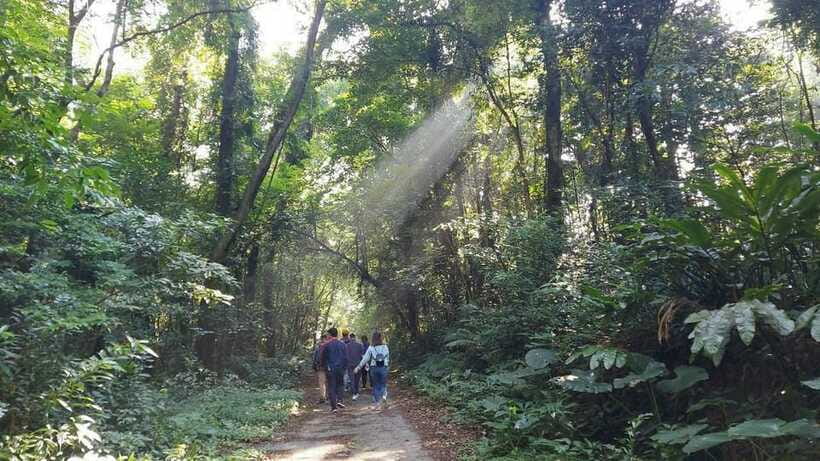 Cat Ba: National Park Day Trip with Cycling and Kayaking - What the $66 price includes
