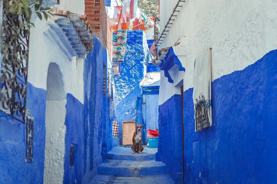 Chefchaouen Day Trip from Fez (Shared Group Tour) - The 8:00 a.m. departure from your Fez accommodation