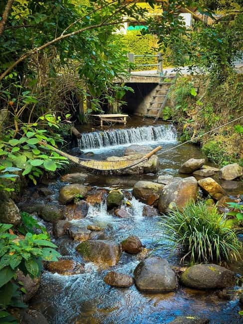 Chiang Mai: The Giant Café & Mae Kampong Village Day Trip - Rabiang View Mae Kampong and the mountain café stop