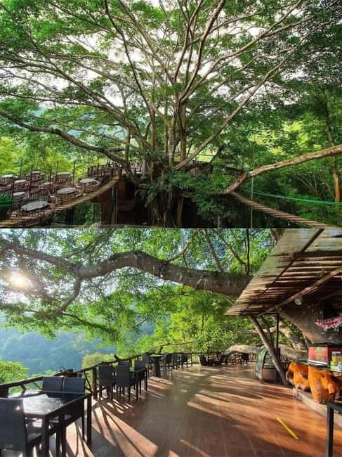 Chiang Mai: The Giant Café & Mae Kampong Village Day Trip - Mae Kampong Waterfall and the first forest stop