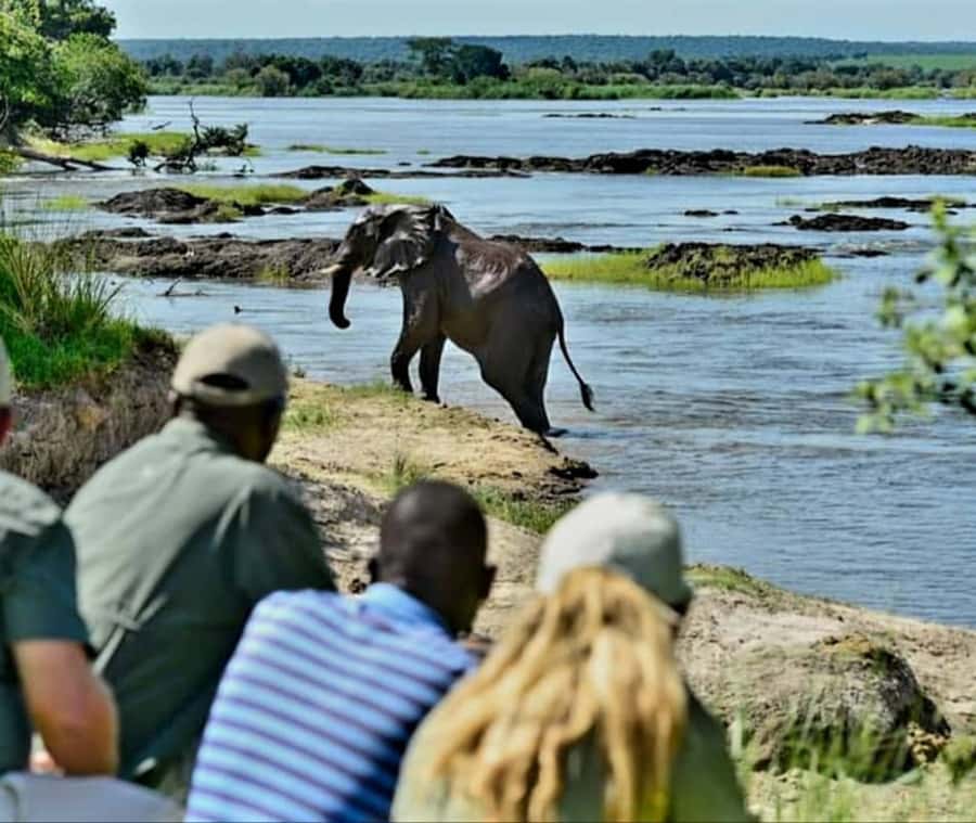Chobe Day Trip - From Vic Falls - With Lunch (Buffet) - Should You Book It?