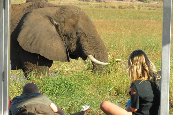 Chobe Day Trip from Victoria Falls, Zimbabwe - Transport, group size, and the long return