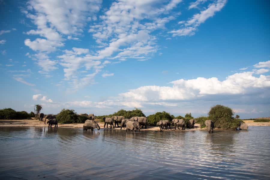 Chobe National Park: Day Trip, Safari drive & River Cruise - The 3.5-hour Chobe River cruise