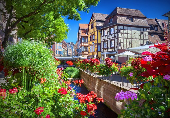 Colmar, Medieval Village & Castle Small Group from Strasbourg - Following the 170-kilometer Wine Route