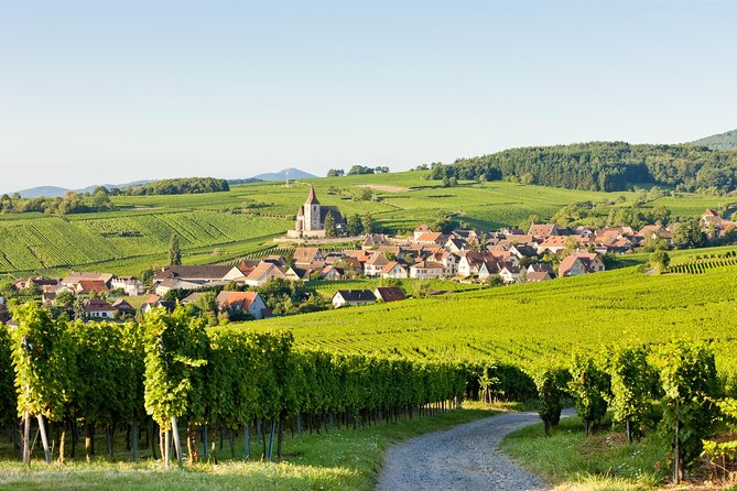 Colmar, Medieval Village & Castle Small Group from Strasbourg - Haut-Koenigsbourg Castle above the plain