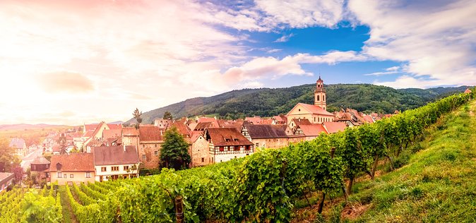 Colmar, Medieval Village & Castle Small Group from Strasbourg - Riquewihr, the best stop for free wandering