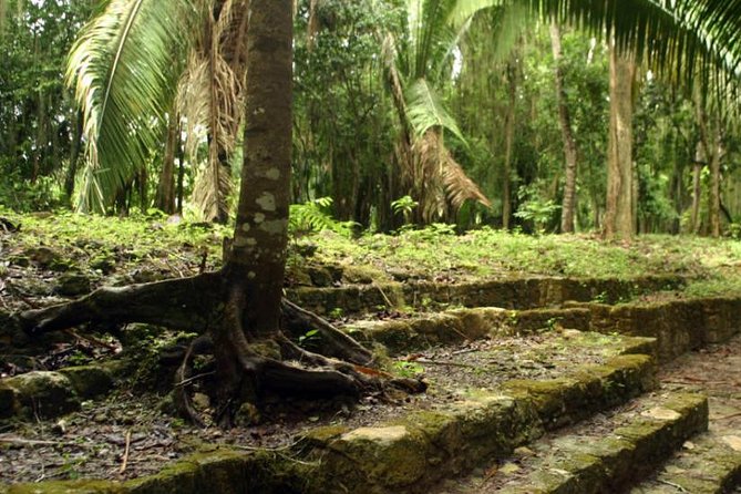 Costa Maya Shore Excursion: Chacchoben Day Trip - Why Chacchoben makes a strong Costa Maya outing