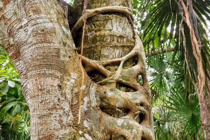 Costa Maya Shore Excursion: Chacchoben Day Trip - Small group versus cruise ship excursion