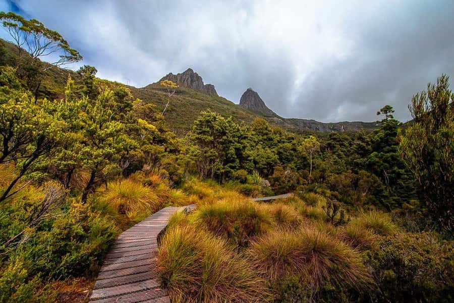 Cradle Mountain: Day Trip from Launceston with Lunch - Why this day trip works from Launceston