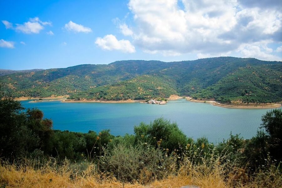 Crete: Sightseeing Day Trip with Cooking Lesson and Lunch - Krasi and the ancient plane tree