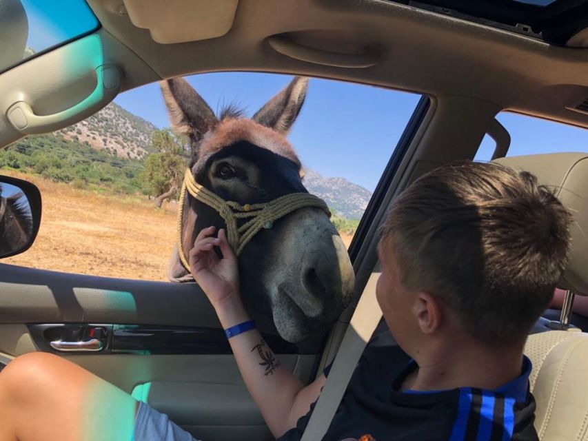Crete: Sightseeing Day Trip with Cooking Lesson and Lunch - Why this day trip works for seeing rural Crete