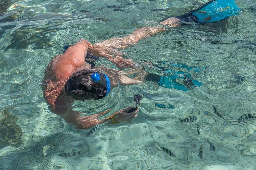 Curieuse and St Pierre Snorkeling Half-Day Trip No BBQ Lunch - Key points to know before booking