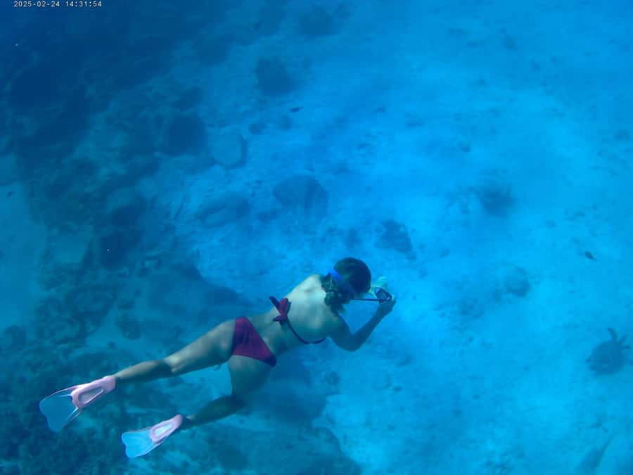Curieuse and St Pierre Snorkeling Half-Day Trip No BBQ Lunch - Why Curieuse deserves the morning