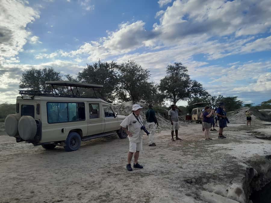Dar es Salaam: Mikumi National Park Day Trip with Train Ride - Why this train and safari combination works