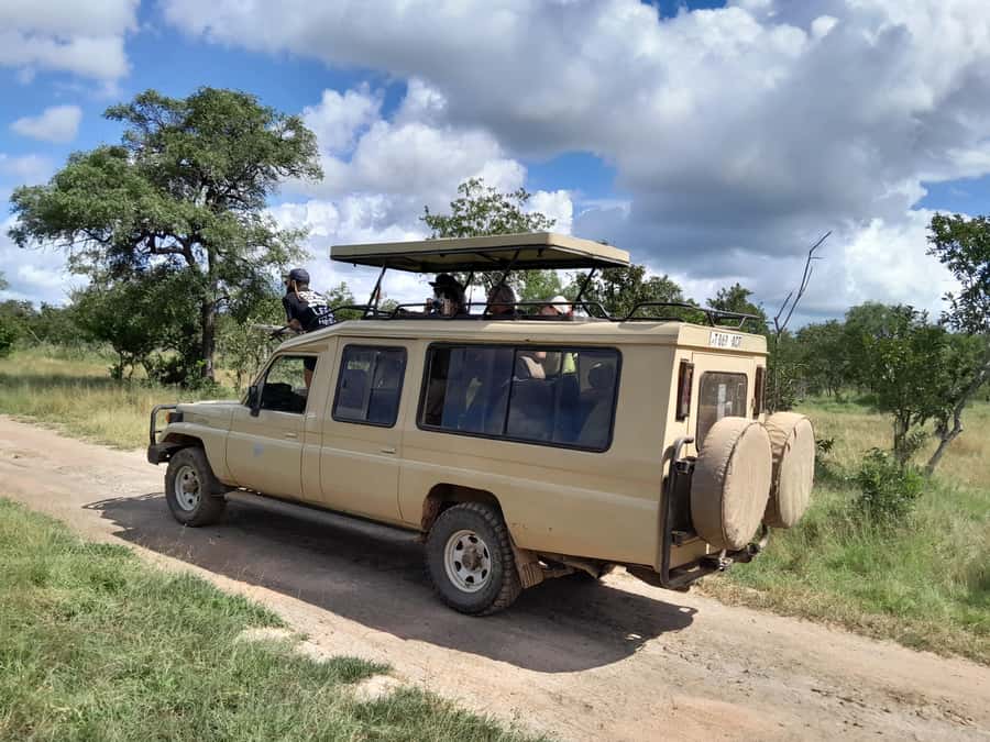 Dar es Salaam: Mikumi National Park Day Trip with Train Ride - A breakfast stop in Morogoro