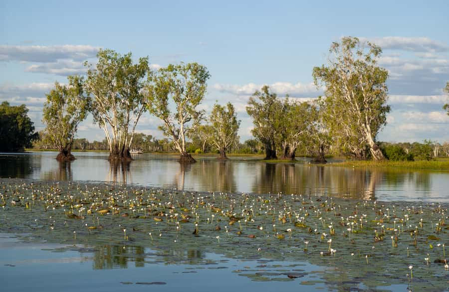 Darwin: Kakadu National Park Day Trip - The scenic flight over Kakadu’s rivers