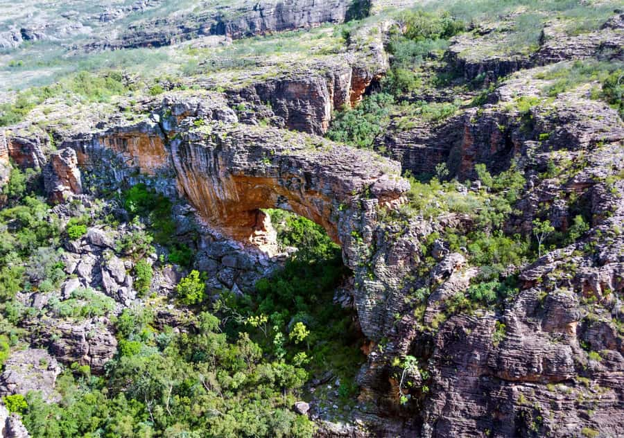 Darwin: Kakadu National Park Day Trip - Yellow Water Billabong at 11:30 AM