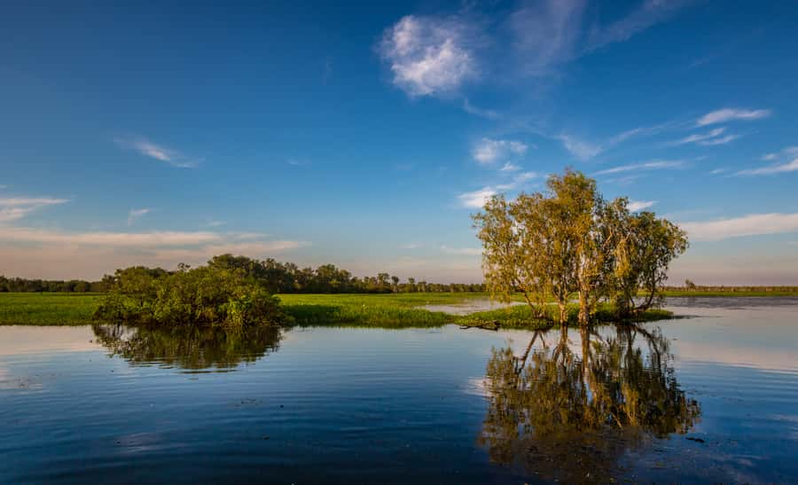 Darwin: Kakadu National Park Day Trip - Who will get the most from this $636 day trip?