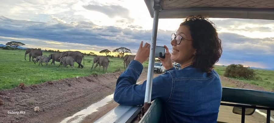 DAY TRIP AMBOSELI NATIONAL PARK FROM NAIROBI BUDGET SAFARI. - Lunch, Breaks, and the Real Cost