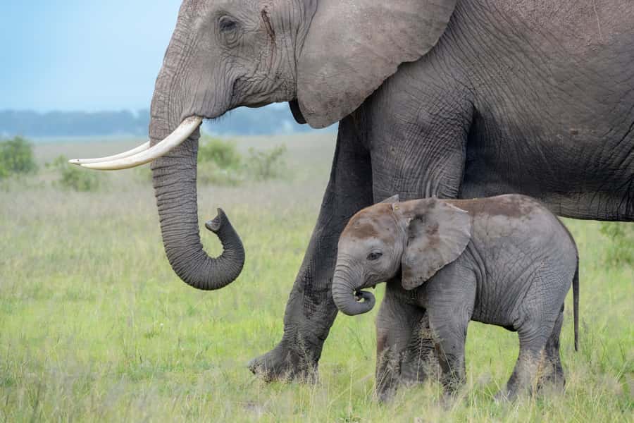 Day Trip: Amboseli National Park & Maasai Village – Nairobi - The early road from Nairobi