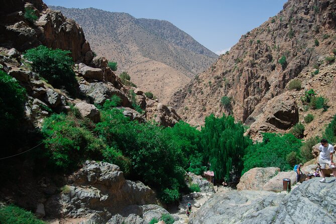 Day trip - Atlas Mountains Ourika Valley Waterfall From Marrakech - How argan oil gives the day a practical cultural stop