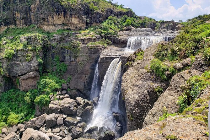 Day Trip From Addis Ababa See Historical Monastery,Stunning Nature,Animals,Birds - Who should book this experience