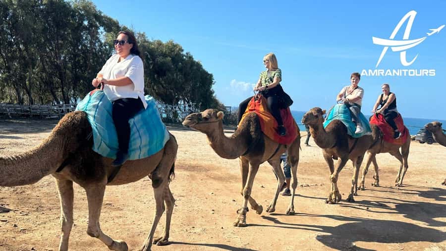 Day trip from Gibraltar to Morocco All Inclusive - Should you book the Gibraltar to Morocco day trip?