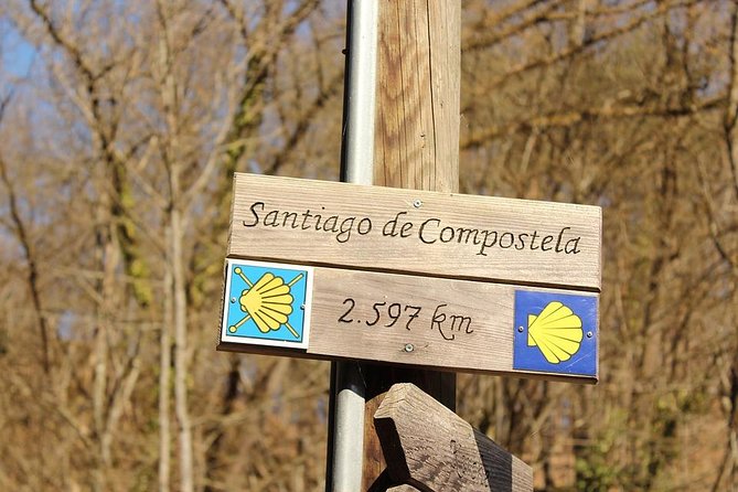 Day Trip from Porto to Santiago de Compostela and Valença - Minibus Comfort and Group Size