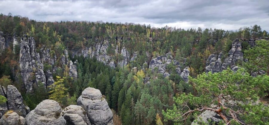 Day trip from Prague to Bohemian and Saxon Switzerland - The Kamenice River gorge by boat