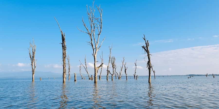 Day Trip: Hell's Gate Bike Ride & Lake Naivasha Boat Ride - Hell’s Gate Gorge adds steam, rock, and a little effort