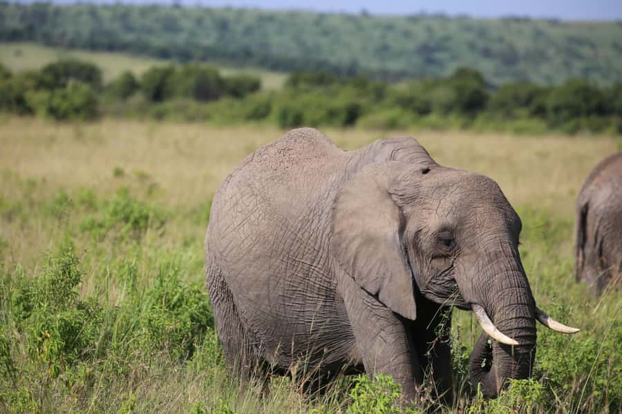 Day Trip: Hell's Gate Bike Ride & Lake Naivasha Boat Ride - Transport, timing, and group size
