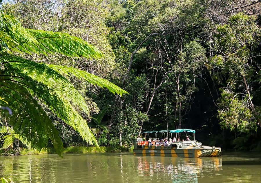 Day Trip: Rainforest & Aboriginal Culture Tour - Key points to know before booking