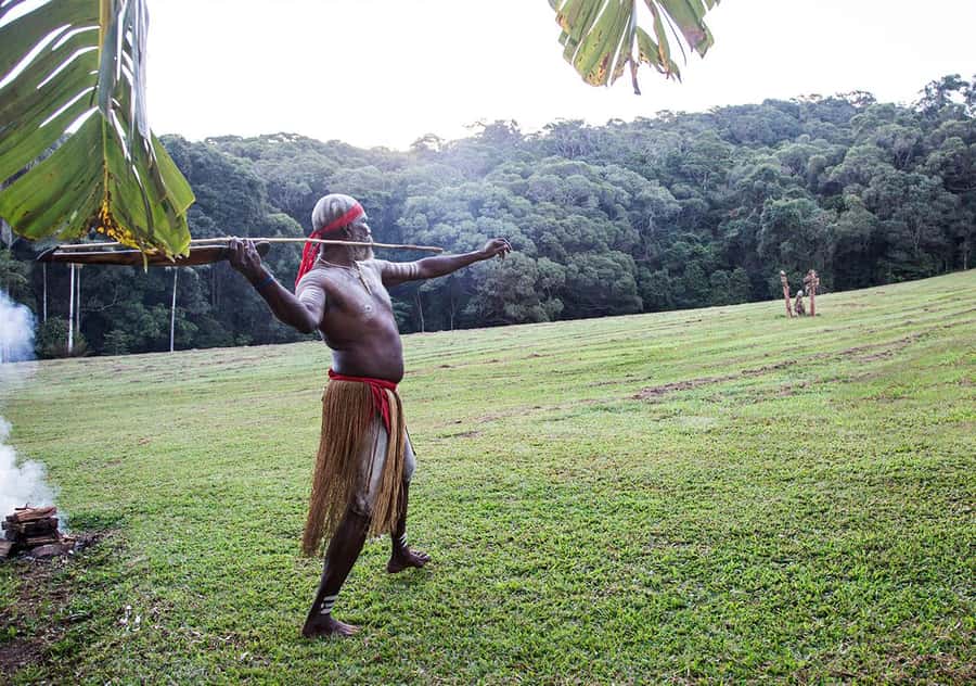 Day Trip: Rainforest & Aboriginal Culture Tour - Booking advice and final verdict