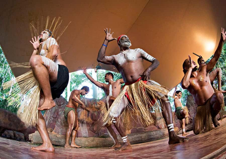 Day Trip: Rainforest & Aboriginal Culture Tour - Wildlife at the Koala & Wildlife Park