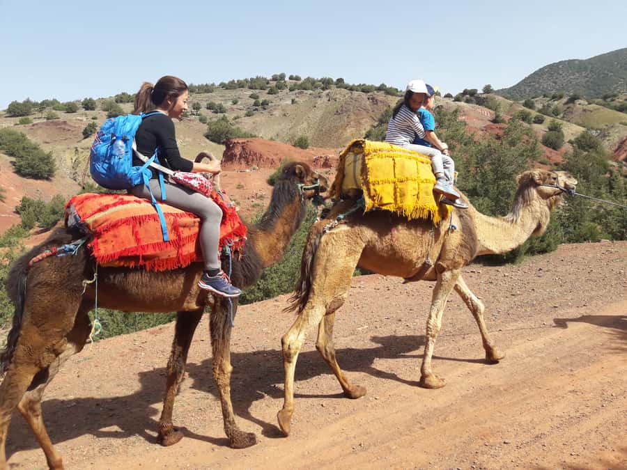 Day Trip To Atlas Mountain and Berber Village From Marrakech - The waterfall and the final walk