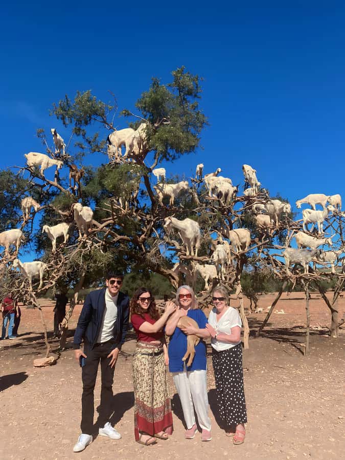 Day trip to Essaouira - Why Essaouira makes a good break from Marrakech