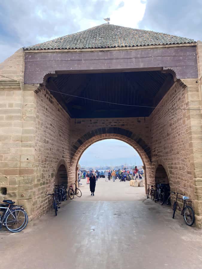 Day trip to Essaouira - The goat trees and the argan oil stop