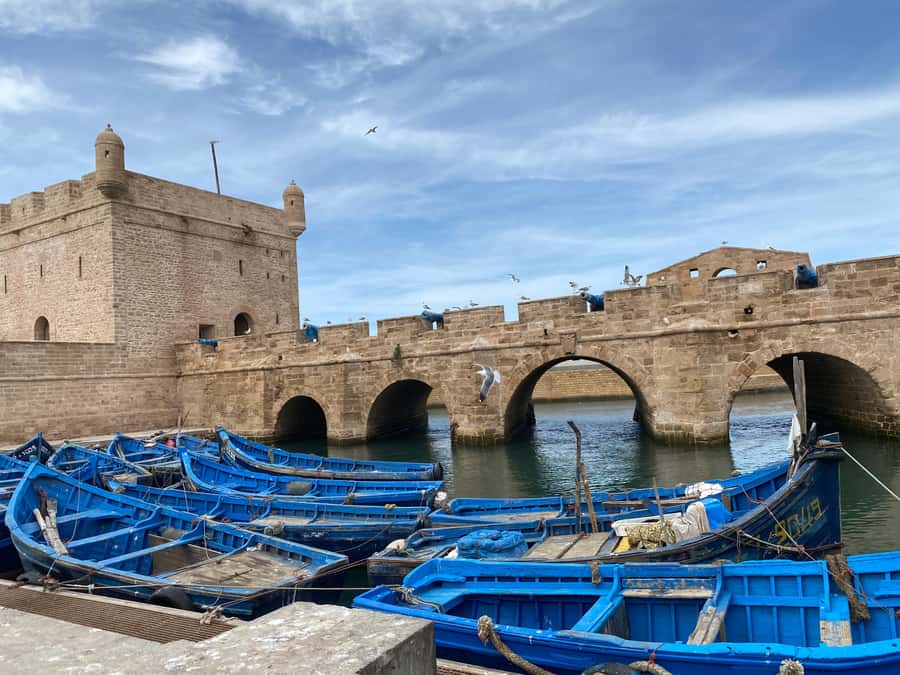 Day trip to Essaouira - Walking the medina and souks
