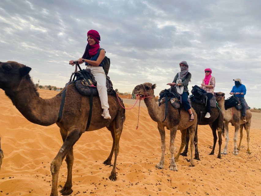 Day trip to Essaouira - Beach time, seafood, and a possible camel ride