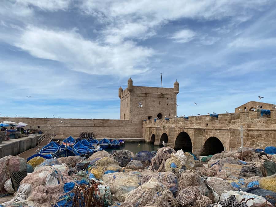 Day trip to Essaouira - What the $11 price really offers