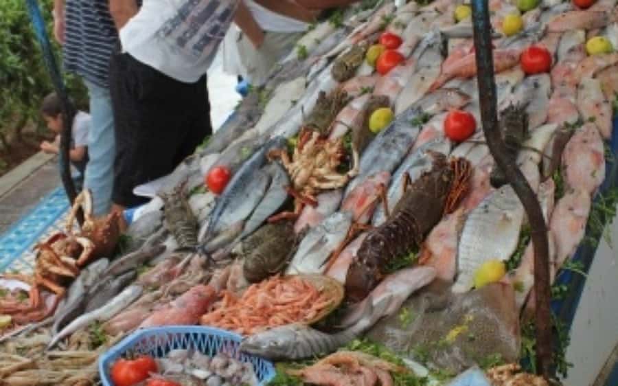 DAY TRIP TO ESSAOUIRA FROM MARRAKECH - Is $15 good value?