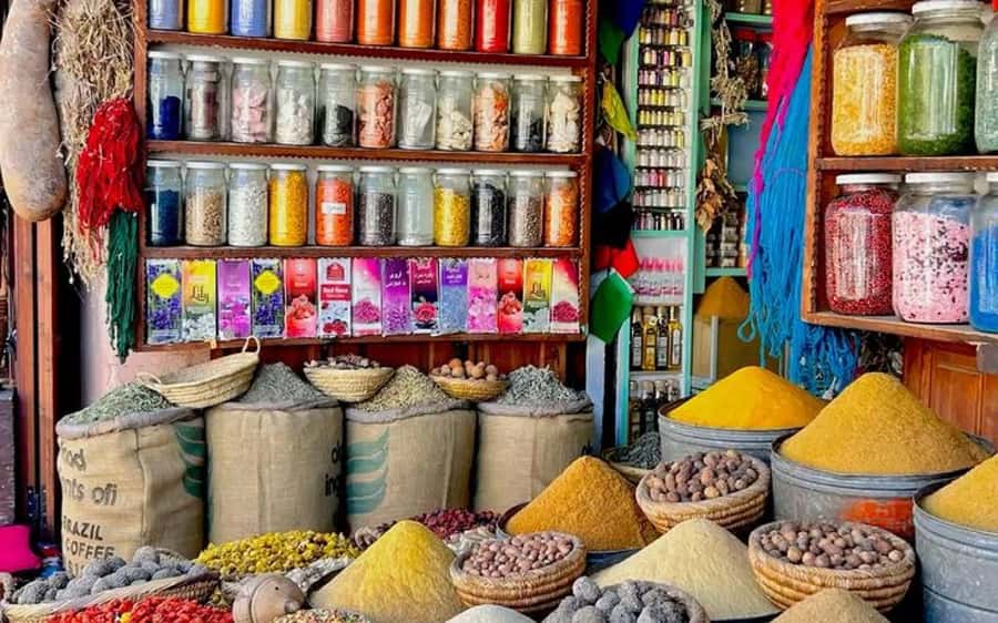 DAY TRIP TO ESSAOUIRA FROM MARRAKECH - Who should book this Essaouira excursion?