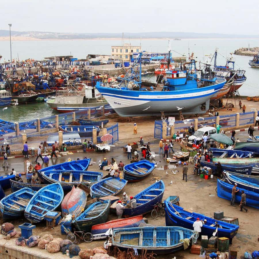 Day Trip To Essaouira From Marrakech With Guide - Why Essaouira makes a good break from Marrakech