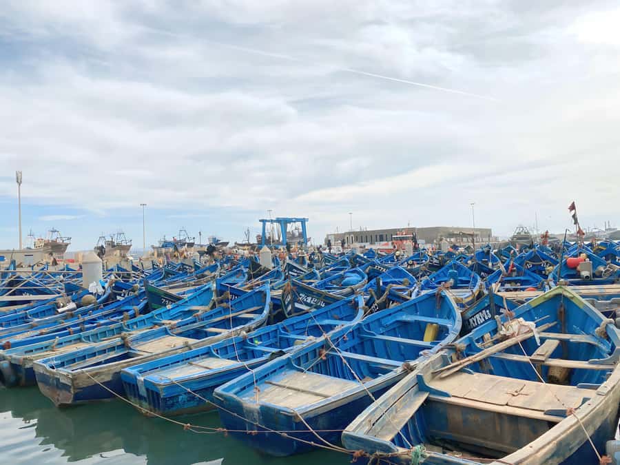 Day trip to Essaouira - The early pickup and the road west
