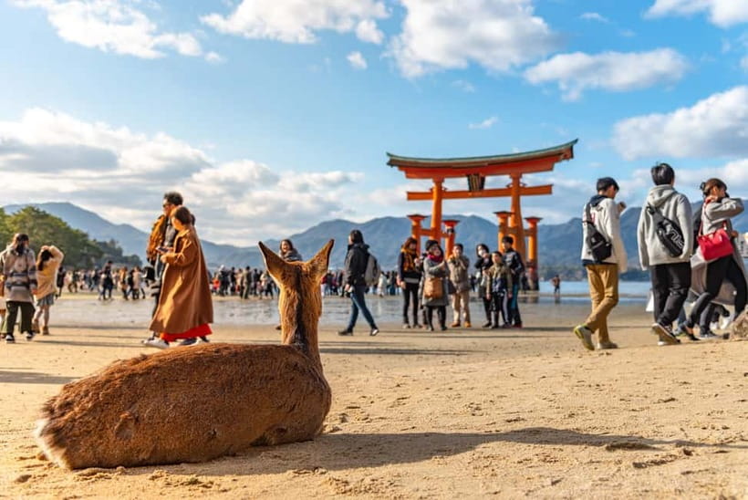 Day Trip to Hiroshima & Miyajima with Itsukushima Shrine - The ferry approach to Miyajima