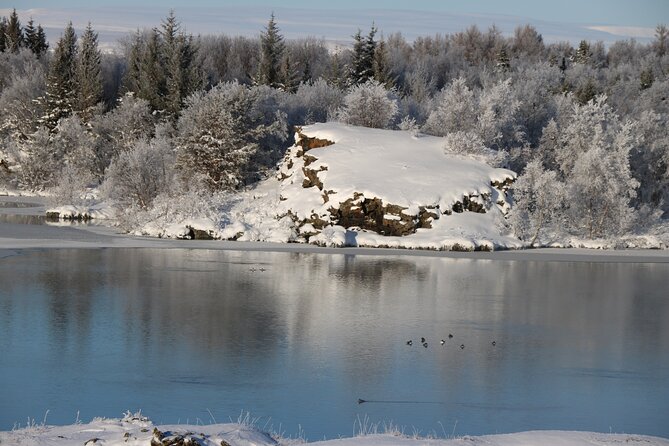 Day Trip to Lake Mývatn And The Nature Baths from Akureyri - Dimmuborgir and the caves of old lava