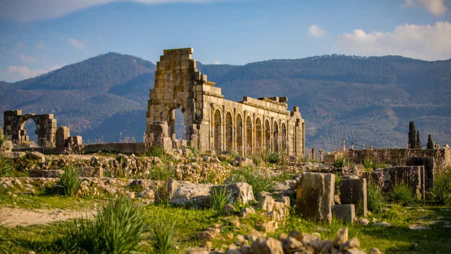 Day trip to meknes ,volubilis , moulay idris - Volubilis and its Roman mosaics