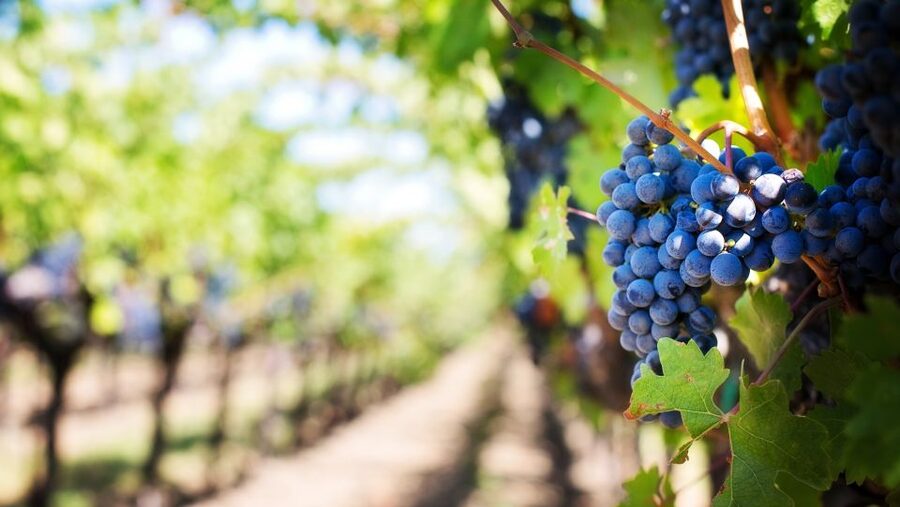 Day trip to Moldova - visit Chisinau and Cricova Winery - Why this Iasi to Moldova day trip is unusual