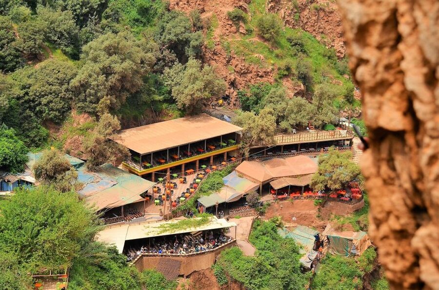 Day Trip To Ouzoud Waterfalls & Boat Ride From Marrakech - Barbary macaques near the waterfall